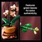 LEGO Botanicals Mini Orchid Building Set - Artificial, Fake Orchid for Home Decor, Adults Ages 18+ - Gift for Graduation- Indoor Plant Decorations for Table, Desk, Office - 10343